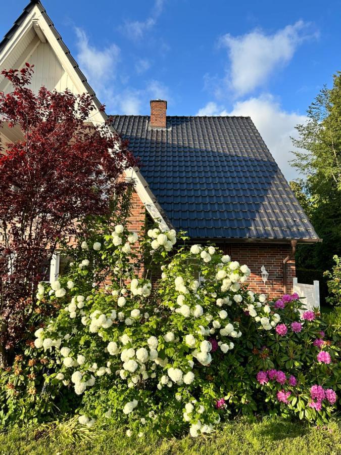 Louf Apartment Wiesmoor Bagian luar foto